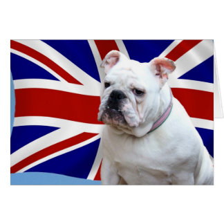 Cartão Buldogue britânico