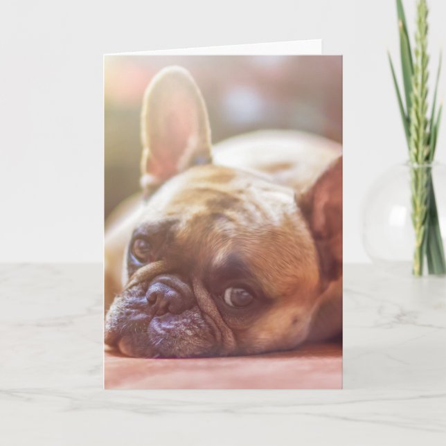Cartão buldogue francês (Frente)