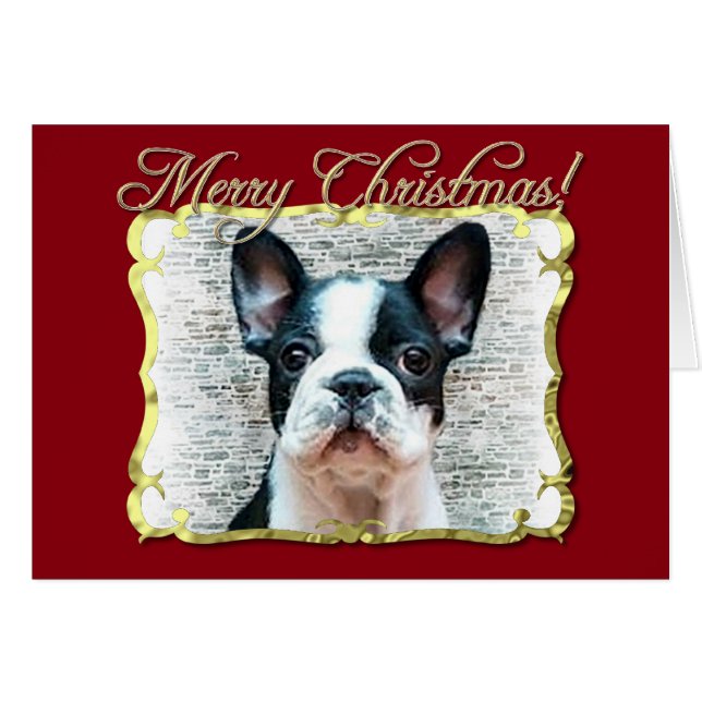 Cartão Buldogue francês (Frente Horizontal)