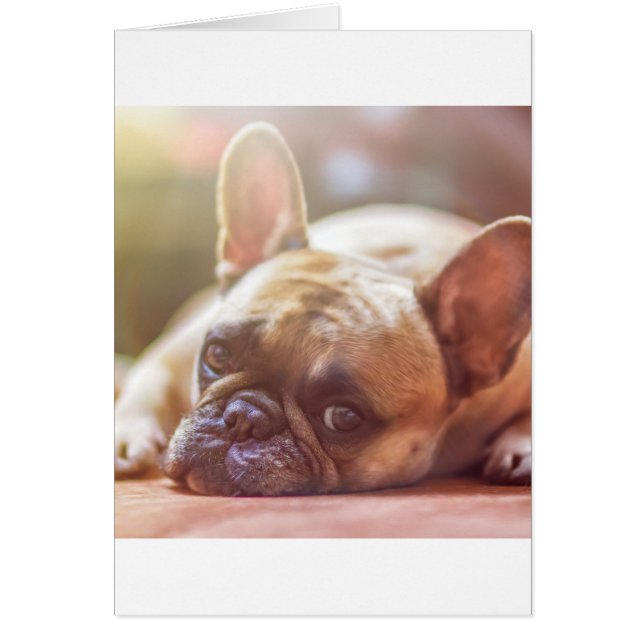 Cartão buldogue francês (Frente)