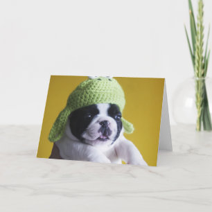 Cartão Buldogue Francês