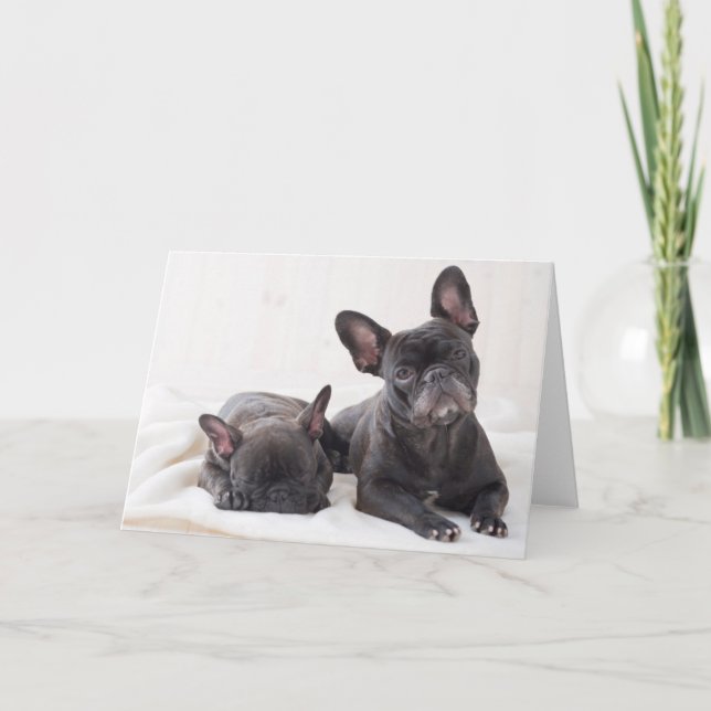 Cartão Buldogue Francês Bonito (Frente)