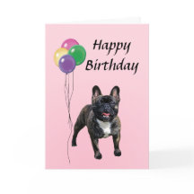 Buldogue francês com balões Feliz aniversário