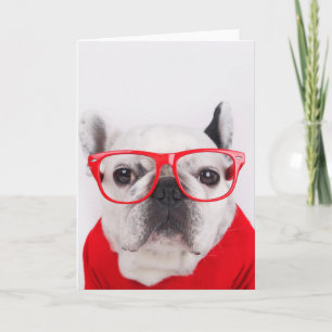 Cartão Buldogue Francês com Óculos e Camisa