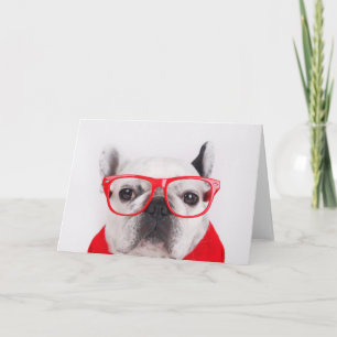 Cartão Buldogue Francês com Óculos e Camisa