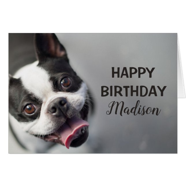 Cartão Buldogue francês das imagens | de Getty (Frente Horizontal)