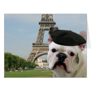 Cartão Buldogue francês em Paris
