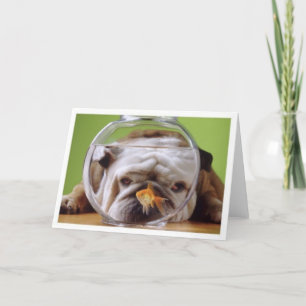 Cartão Buldogue Inglês