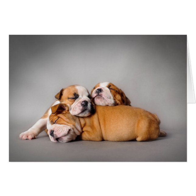 Cartão Buldogue Inglês Dormindo (Frente Horizontal)