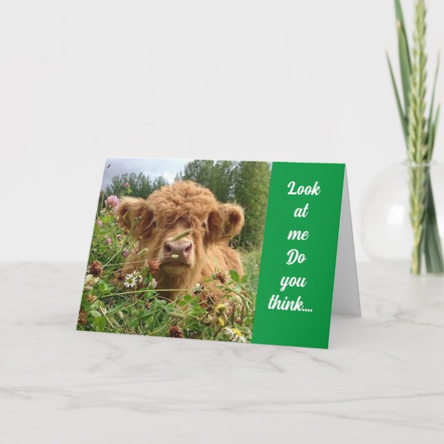 CARTÃO BULL É SÉRIO E DIZ "FELIZ 70 ANIVERSÁRIO" (Frente)