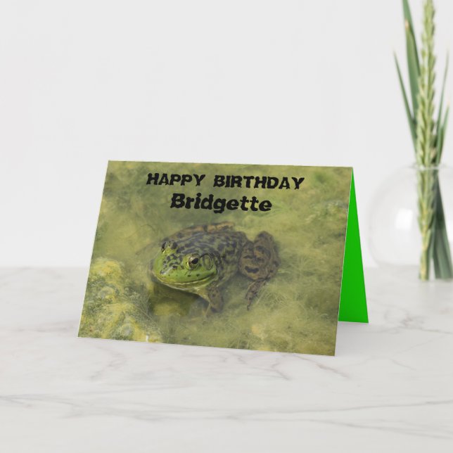 Cartão Bull Frog in Moss Birthday Greeting Card (Frente)
