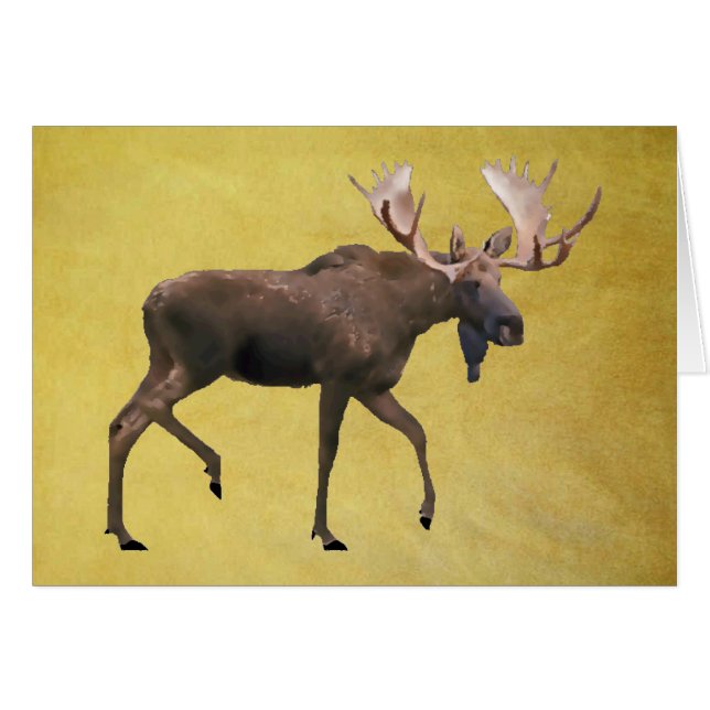 Cartão Bull Moose (Frente Horizontal)