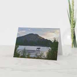 Cartão Bull Moose em Sprague Lake, Colorado, Dawn Card
