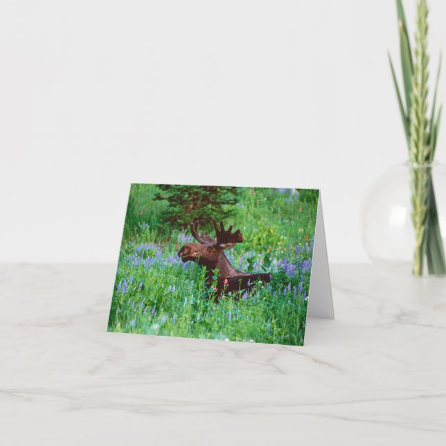 Cartão Bull Moose in Wildflowers Note Card (Frente)