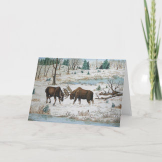 Cartão Bull Moose Wildlife Art
