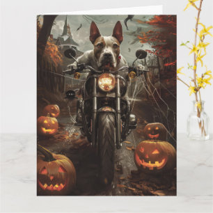 Cartão Bull Terrier Riding Motorcycle Halloween Scareen