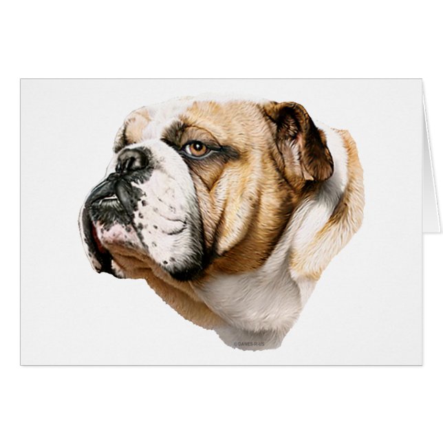 Cartão Bulldog Bust (Frente Horizontal)