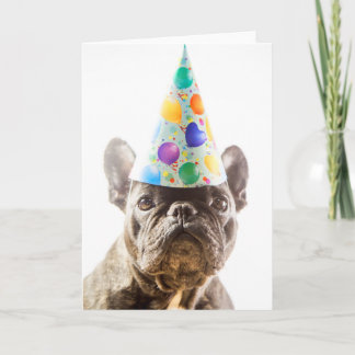 Cartão Bulldog Francês com Chapéu do Partido