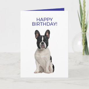 Cartão Bulldog Francês Simples e Mínimo Feliz Aniversário