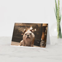 Bulldog Get Well Card