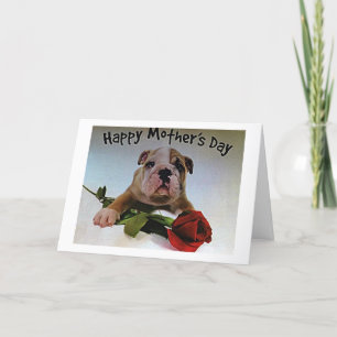 CARTÃO BULLDOG WITH ROSE IS FULL OF LOVE ON MOTHER'S DAY