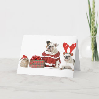 CARTÃO BULLDOGS COM PLACA DE NATAL BUNNY