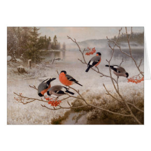 Cartão Bullfinches na paisagem de inverno CC0967 Von Wrig