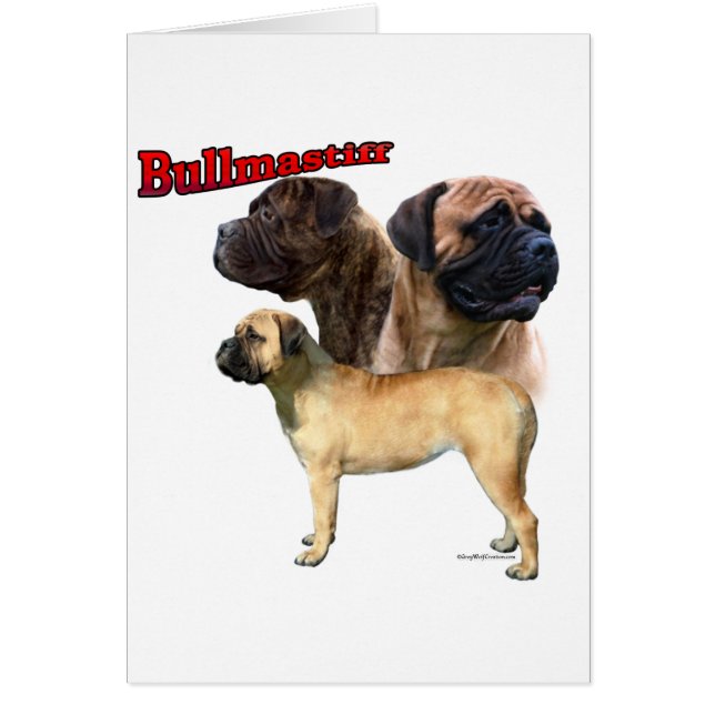 Cartão Bullmastiff Trio 2 (Frente)