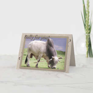 Cartão Bully For You! Birthday Greetings