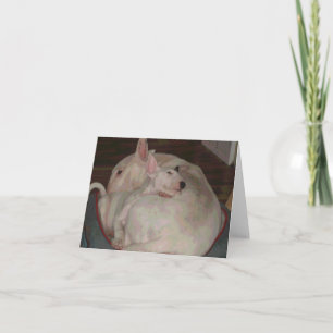 Cartão Bully momma and son