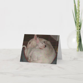 Cartão Bully momma and son