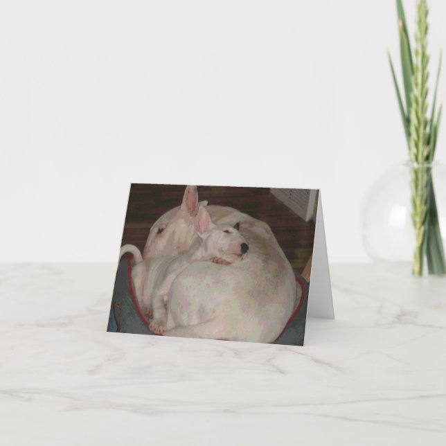 Cartão Bully momma and son (Frente)