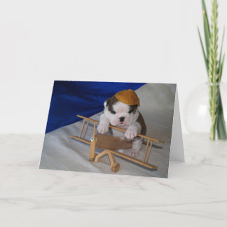 Cartão BullyBreeze - Pania - Aviator - Greeting Card