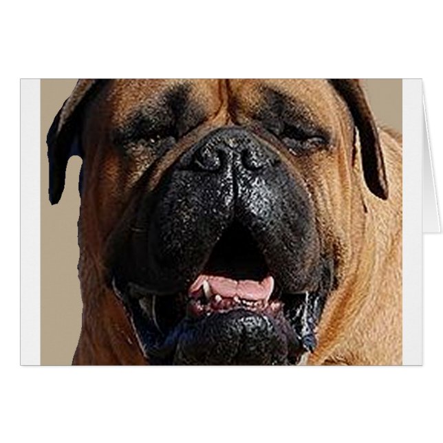 Cartão bulmastiff.png (Frente horizontal)