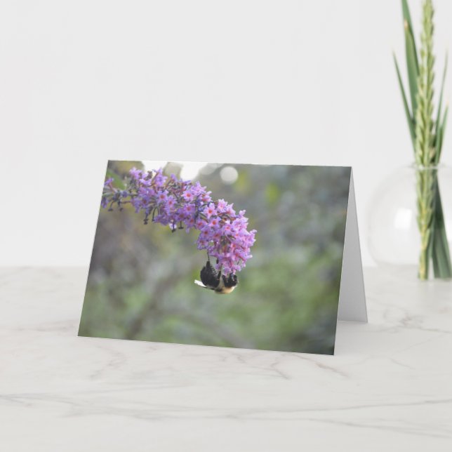 Cartão Bumble Bee (Frente)