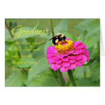 Bumble Bee na Zinnia Rosa Pensando em sua placa