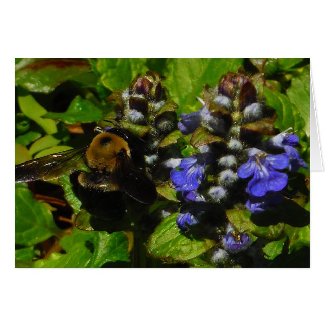 Cartão Bumble e Bumble Bee (Frente Horizontal)