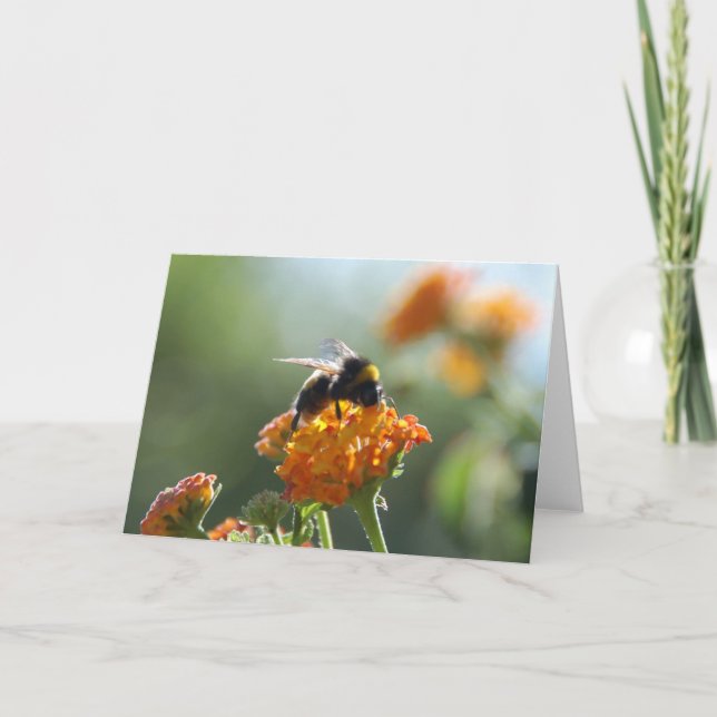 Cartão BUMBLEBEE Blank Note Card (Frente)