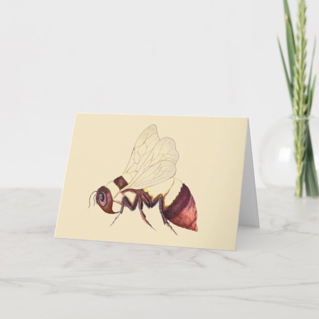 Cartão Bumblebee Greeting Card (Frente)