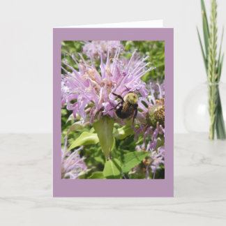 Cartão Bumblebee on Beebalm Blank Note Card