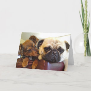 Cartão Bumblesnot greeting card: I'm here if you need me