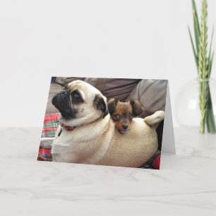 Cartão Bumblesnot greeting card: I've got your back!