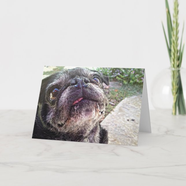 Cartão Bumblesnot Greeting Card: Looking Up (Frente)