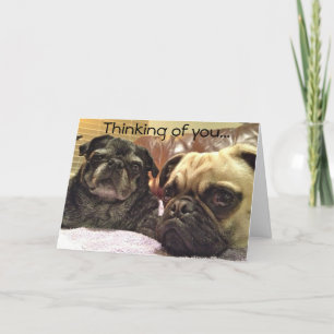 Cartão Bumblesnot greeting card: Thinking of you