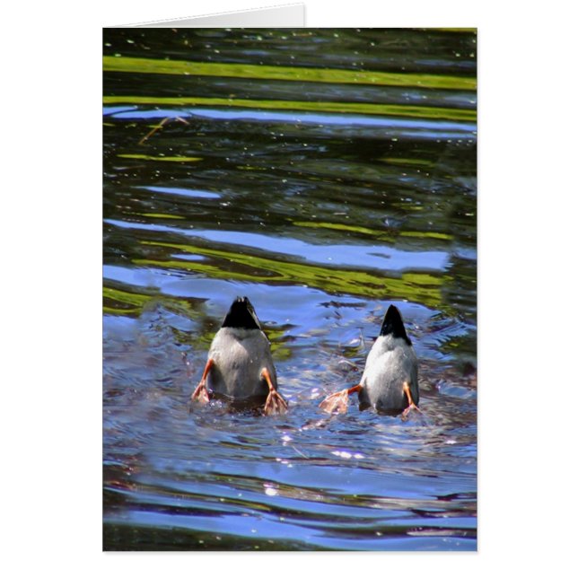 Cartão Bumbuns (Frente)