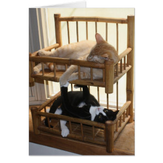 Cartão Bunk Bed Brothers