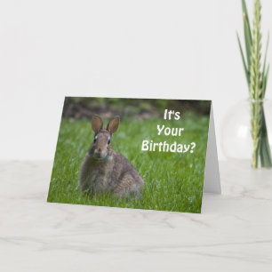 Cartão Bunny Birthday Card