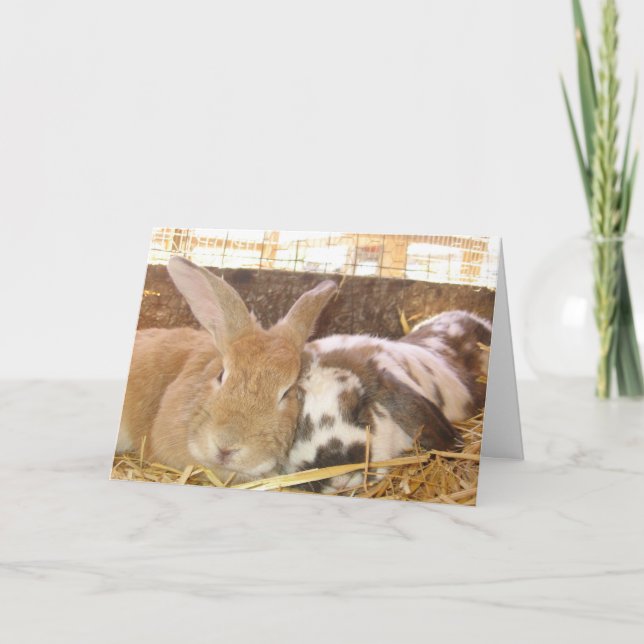 Cartão Bunny Love (Frente)