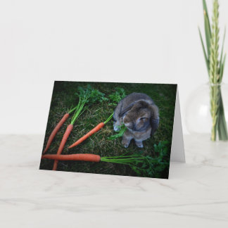 Cartão Bunny Munches Carrots / Birthday Card