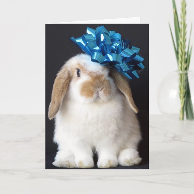 Cartão Bunny Rabbit Birthday Greeting Card (Frente)